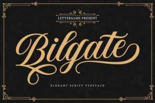 Bilgate: A Font for Impactful Campaigns