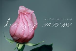 Cozy Mom Font for Web Design