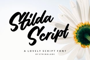 Stilda: A Fun Script Font for Creative Brands