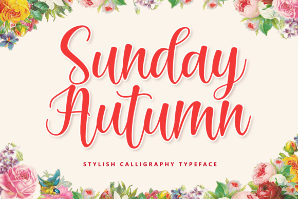 Sunday Autumn Font for Web Design